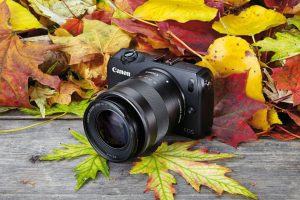 Best Lenses for your Canon Camera