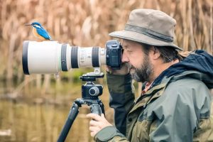Common Mistakes That Occur During Wildlife Photography and How to Steer Clear From Them