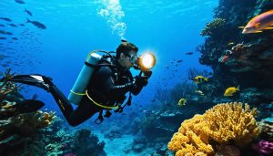 Dive Into Stunning Underwater Photos: The Beginner’s Blueprint