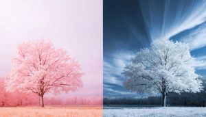 Transform Your iPhone Into a Powerful Infrared Camera (Yes, It’s Actually Possible)