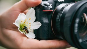 Close-up image of a camera with an extension tube capturing a detailed macro shot of a small flower, illustrating the power and versatility of extension tubes in macro photography.