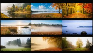 A diverse collection of landscape photographs, featuring sweeping panoramas, intimate nature details, and seasonal variations, illustrating the concept of a captivating photography portfolio.