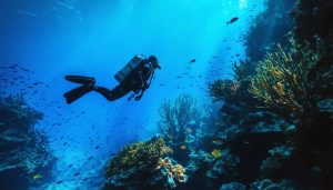 Diver immersed in a vibrant underwater world, with sunlight illuminating colorful coral reefs and marine life, capturing the beauty and depth of the ocean ecosystem.