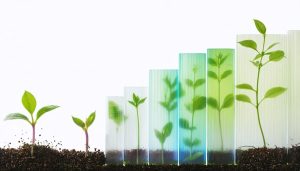 An artistic representation of a plant's growth stages from seedling to full bloom, showcasing the dynamic movement captured through time-lapse photography with overlapping translucent layers and soft lighting.
