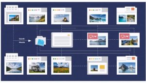 An illustration of a digital asset management system for photographers, showcasing a structured folder hierarchy, metadata tags, and backup symbols, representing organized photo management.