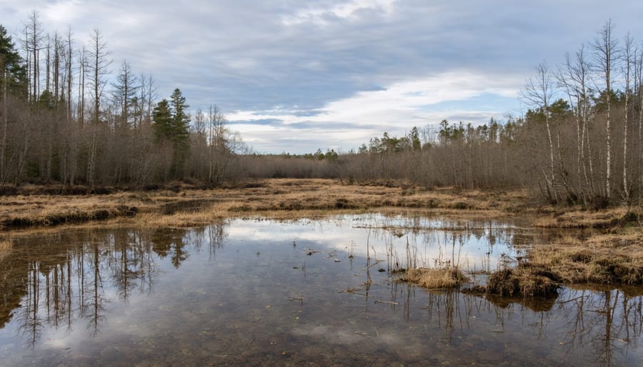 Aerial view contrasting healthy forest with adjacent deforested landscape showing environmental change