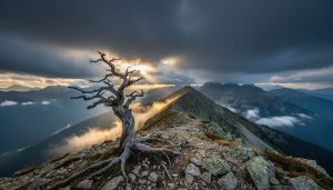 Low-angle wide photo of a dead tree on a mountain ridge beneath a vast stormy sky with sunbeams breaking through, distant misty valleys and rugged peaks fading into the background.