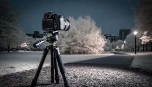 DSLR camera on a tripod in a park, pointed at trees with white-glowing foliage and a dark infrared-like sky.