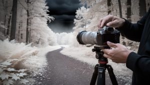 A camera on a tripod filming a forest trail in infrared look, with foliage glowing white and the sky rendered very dark, while hands adjust the lens.