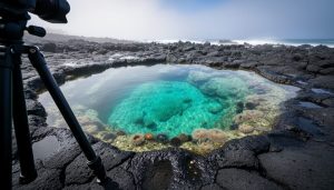 Turquoise tide pool water over black volcanic rock at Kapalua, with visible anemones and small marine life, photographed from ground level.